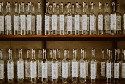 Acre Resort - 2 bedroom Jungle Villa - San Jose del Cabo, Mexico