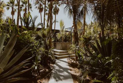 Acre Resort - 2 bedroom Jungle Villa - San Jose del Cabo, Mexico