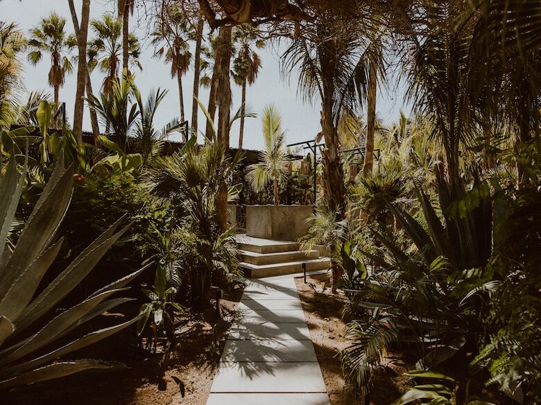 Acre Resort - 2 bedroom Jungle Villa - San Jose del Cabo, Mexico