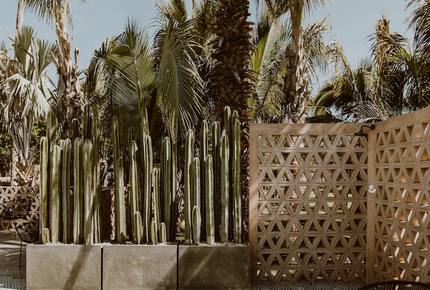 Acre Resort - 2 bedroom Jungle Villa - San Jose del Cabo, Mexico