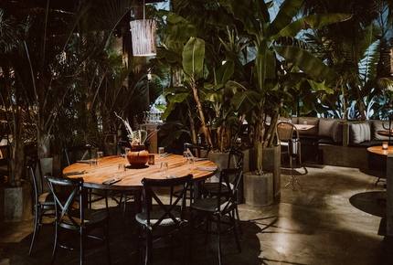 Acre Resort - 2 bedroom Jungle Villa - San Jose del Cabo, Mexico