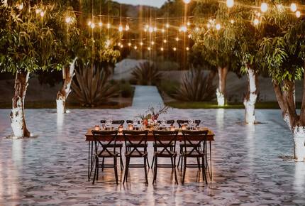 Acre Resort - 2 bedroom Jungle Villa - San Jose del Cabo, Mexico