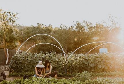 Acre Resort - 2 bedroom Jungle Villa - San Jose del Cabo, Mexico