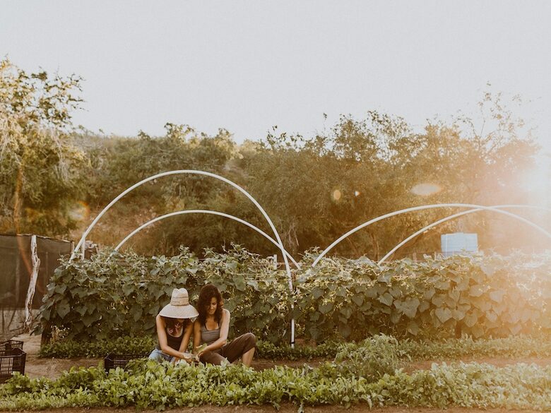 Acre Resort - 2 bedroom Jungle Villa - San Jose del Cabo, Mexico