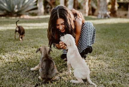 Acre Resort - 2 bedroom Jungle Villa - San Jose del Cabo, Mexico