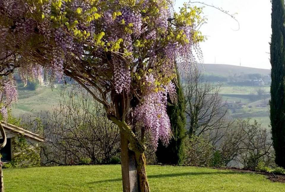 Il Gusto del Paese - Fondo Le Teglie Umbria - Sismano, Italy