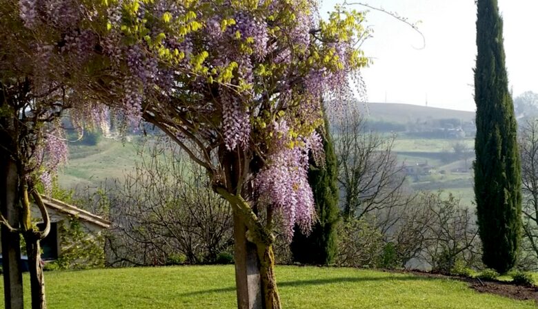 Il Gusto del Paese - Fondo Le Teglie Umbria - Sismano, Italy