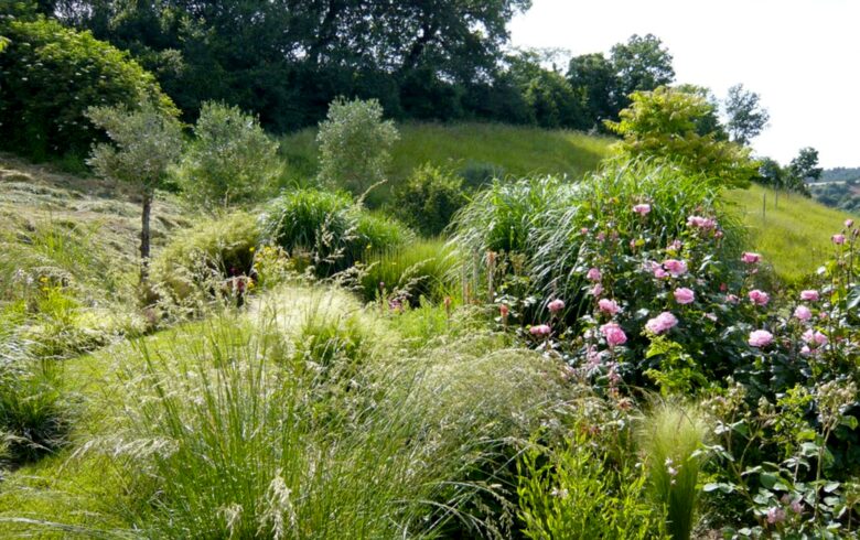 Il Gusto del Paese - Fondo Le Teglie Umbria - Sismano, Italy