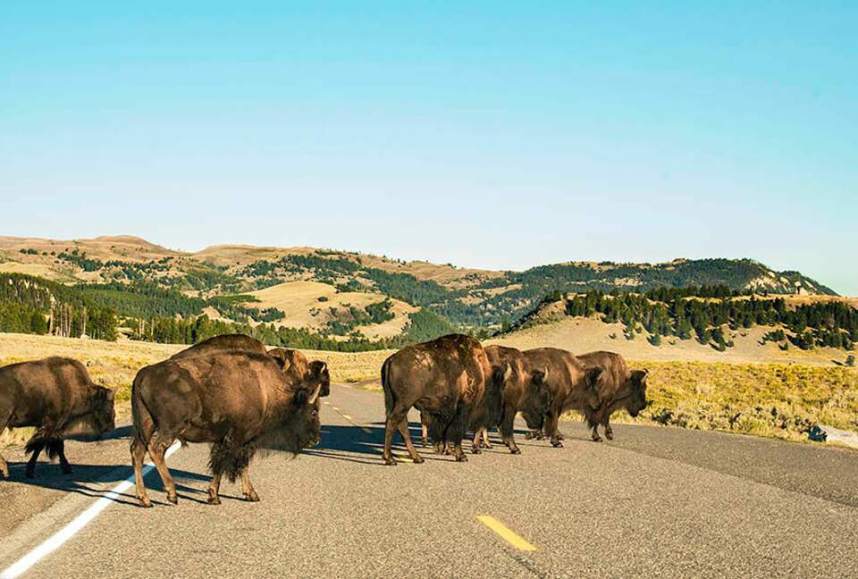 Erikson's Yellowstone Cabin - Island Park, Idaho