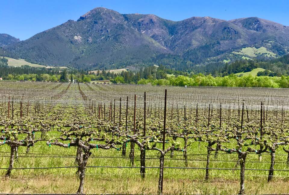 Villa Calistoga in Napa Valley Wine Country - Calistoga, California