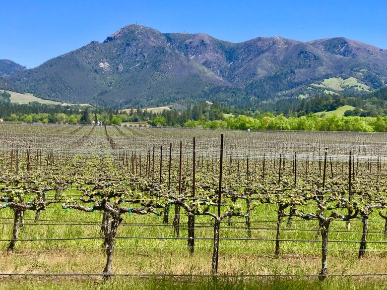 Villa Calistoga in Napa Valley Wine Country - Calistoga, California