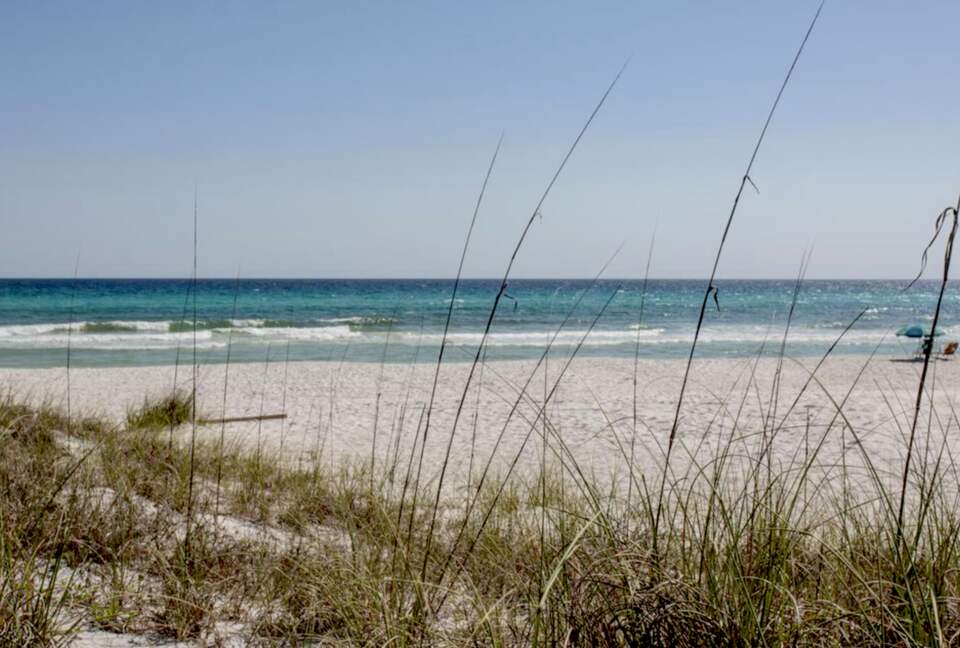 Beach Smiles - Inlet Beach, Florida