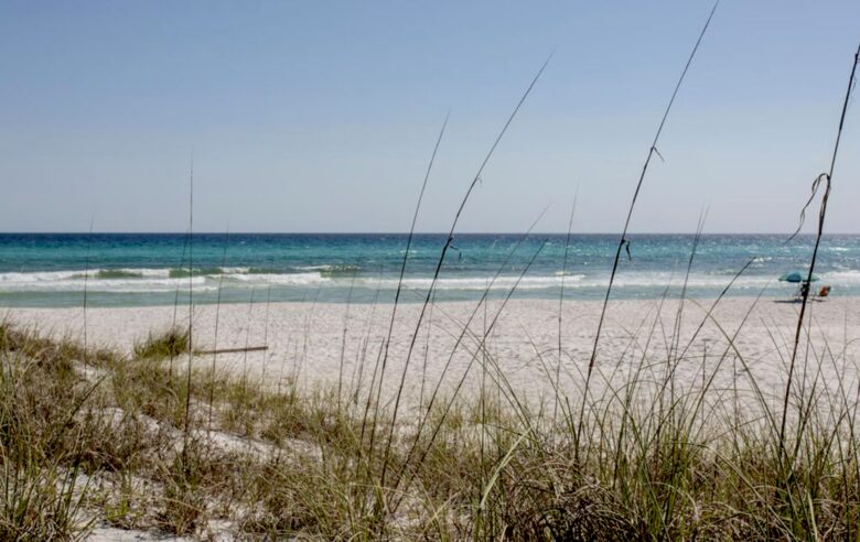 Beach Smiles - Inlet Beach, Florida