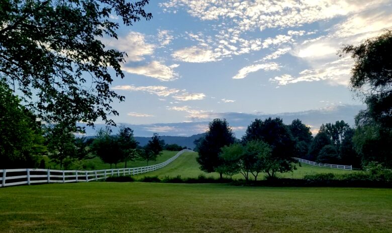 Foster Harris House - Mountain View Room - Washington, Virginia