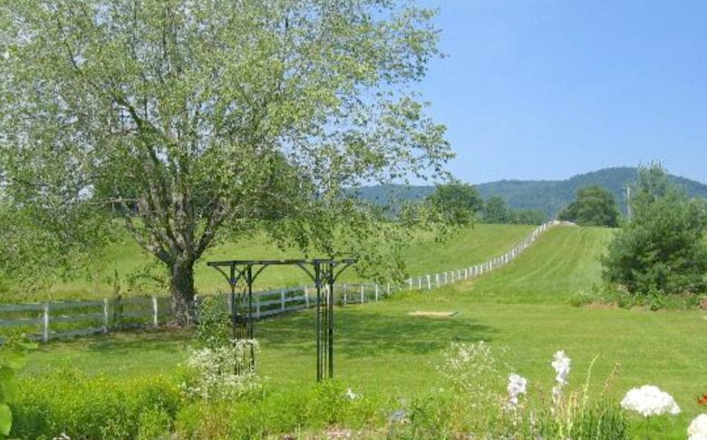 Foster Harris House - Mountain View Room - Washington, Virginia