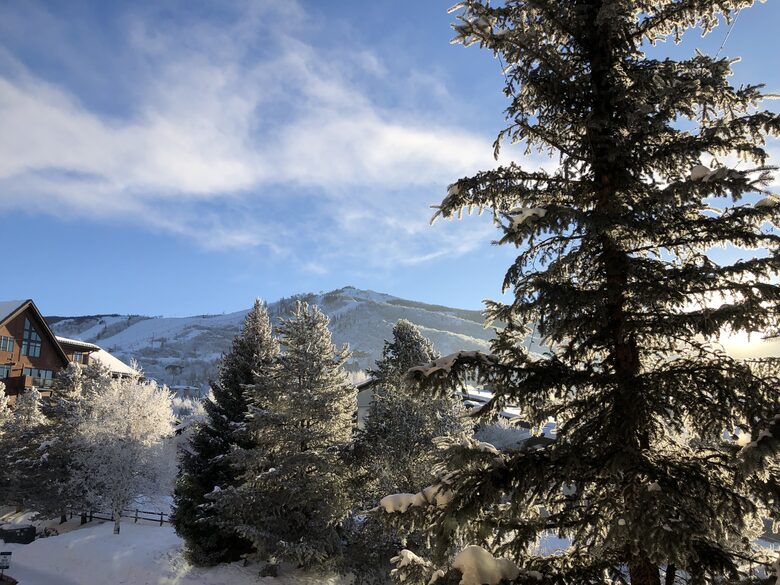 Snow Flower of Steamboat at the Base - Steamboat Springs, Colorado