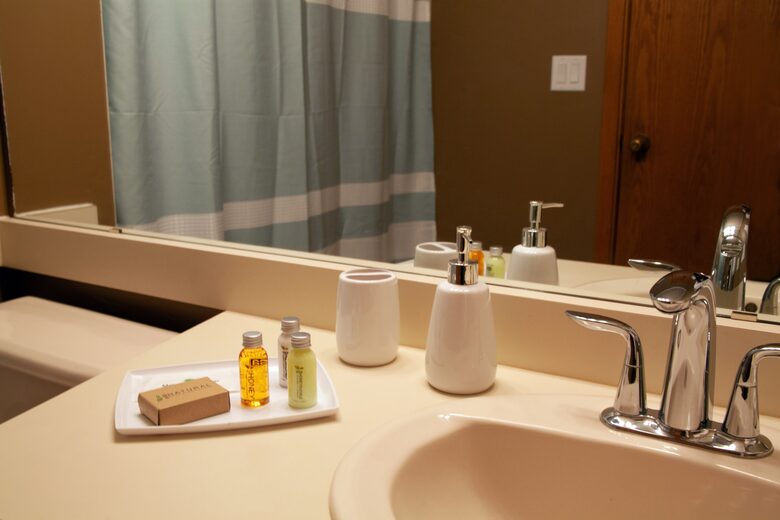 Snow Flower of Steamboat at the Base - Steamboat Springs, Colorado