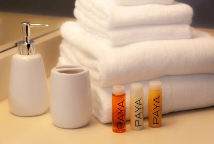 Snow Flower of Steamboat at the Base - Steamboat Springs, Colorado