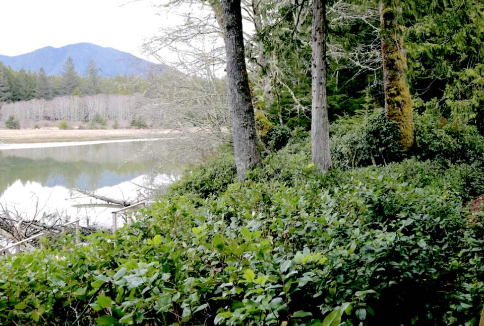 Coastal View - Tofino, Canada
