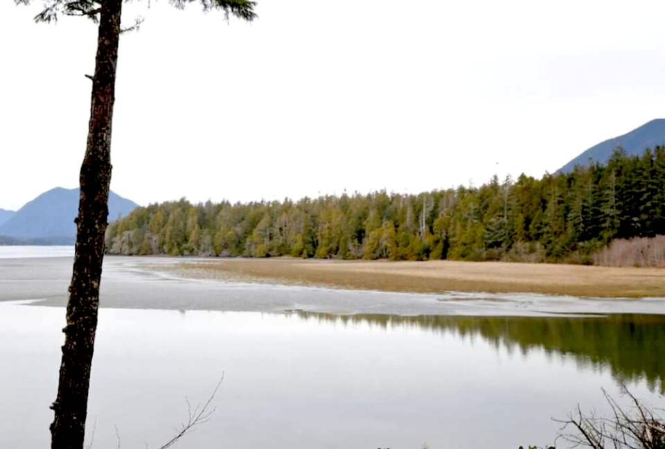 Coastal View - Tofino, Canada