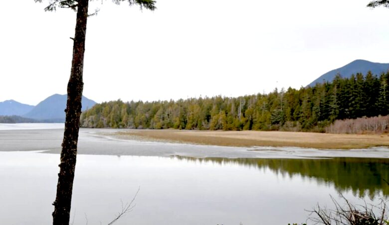Coastal View - Tofino, Canada