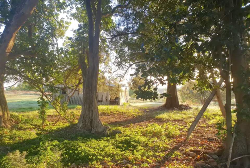 Hololio House - Historic Homestead at Clevedon Polo Club - Auckland, New Zealand
