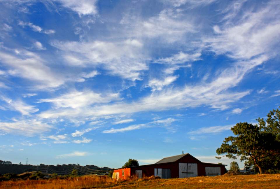 Hololio House - Historic Homestead at Clevedon Polo Club - Auckland, New Zealand