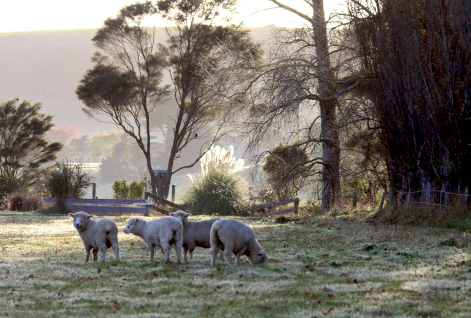 Hololio House - Historic Homestead at Clevedon Polo Club - Auckland, New Zealand