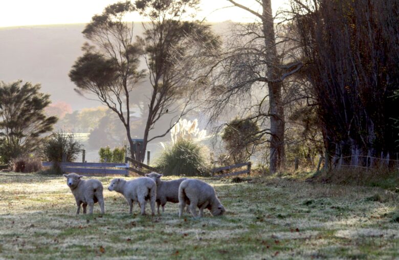 Hololio House - Historic Homestead at Clevedon Polo Club - Auckland, New Zealand