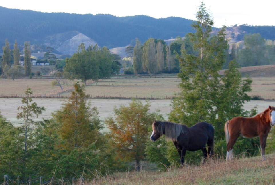 Hololio House - Historic Homestead at Clevedon Polo Club - Auckland, New Zealand