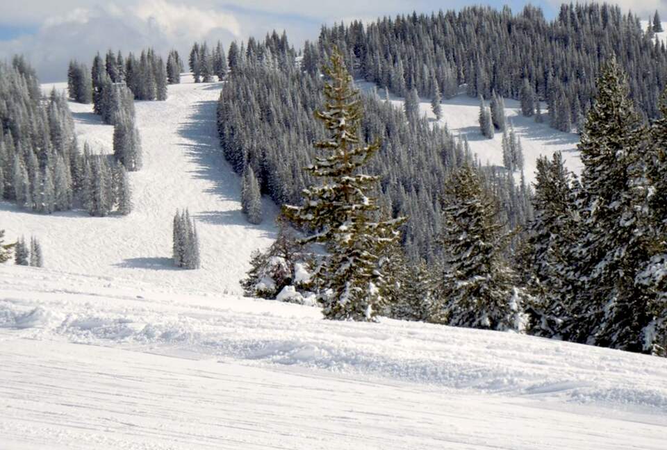 Arrowhead Ski-In/Ski-Out in Beaver Creek - Edwards, Colorado
