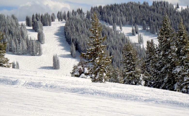Arrowhead Ski-In/Ski-Out in Beaver Creek - Edwards, Colorado