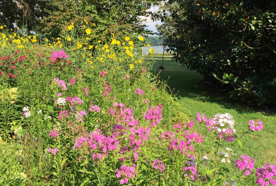 Idlewild on the Eastern Shore - St. Michaels, Maryland
