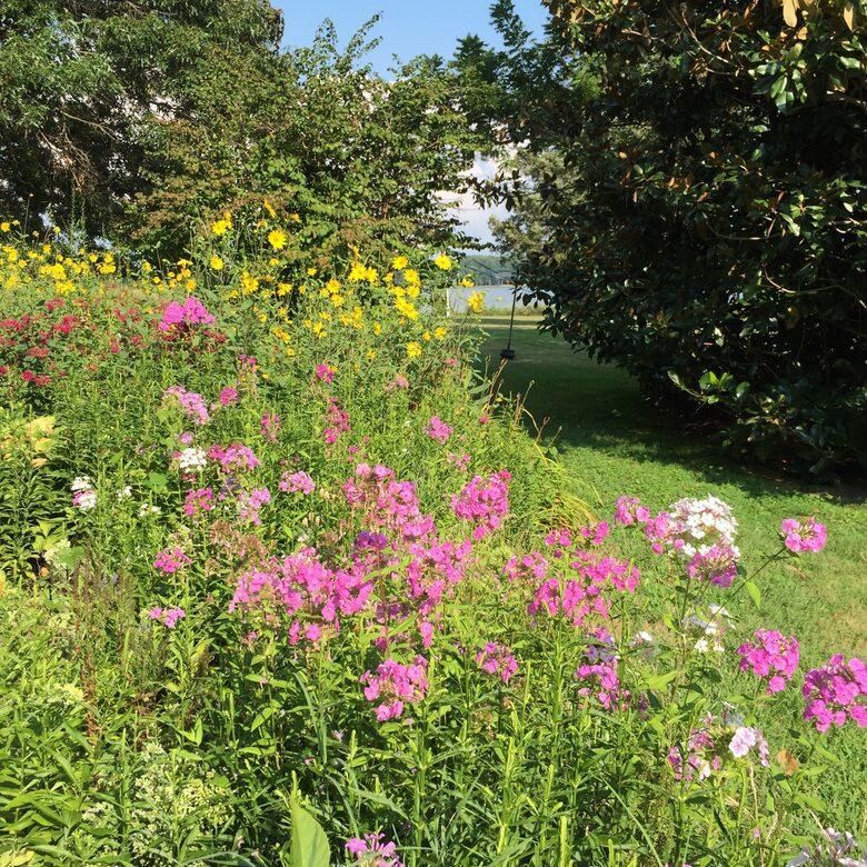 Idlewild on the Eastern Shore - St. Michaels, Maryland