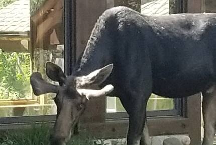 Ski-in, Ski-out Home in The Colony at White Pine Canyon - Park City, Utah