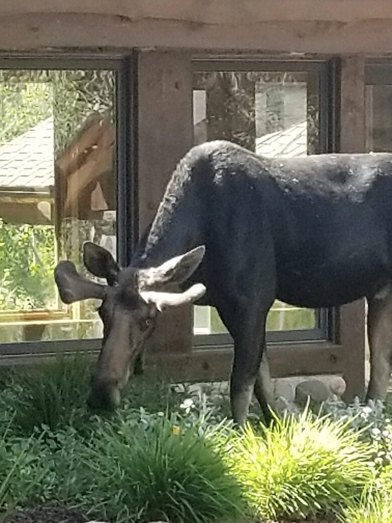 Ski-in, Ski-out Home in The Colony at White Pine Canyon - Park City, Utah