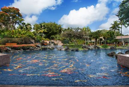 1 BR Studio Unit at Marriott Kauai Beach Club - Lihue - Kauai, Hawaii