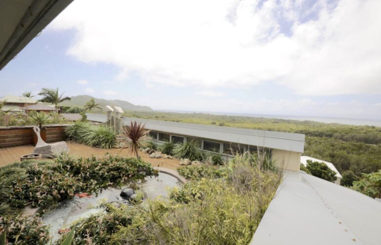 roof garden from master bedroom