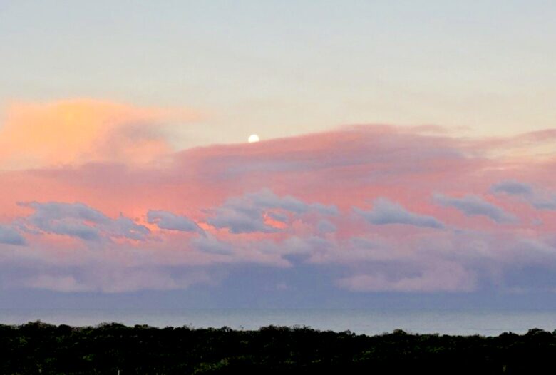 Byron Bay Coastal Home - Byron Bay, Australia