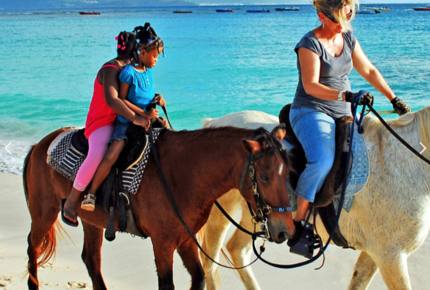 Frangipani Luxury Ocean view 2 bedroom suite - Meads Bay, Anguilla