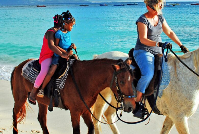 Frangipani Luxury Ocean view 2 bedroom suite - Meads Bay, Anguilla