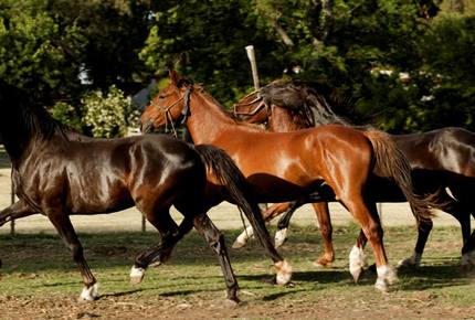 La Fortuna - Salto, Argentina