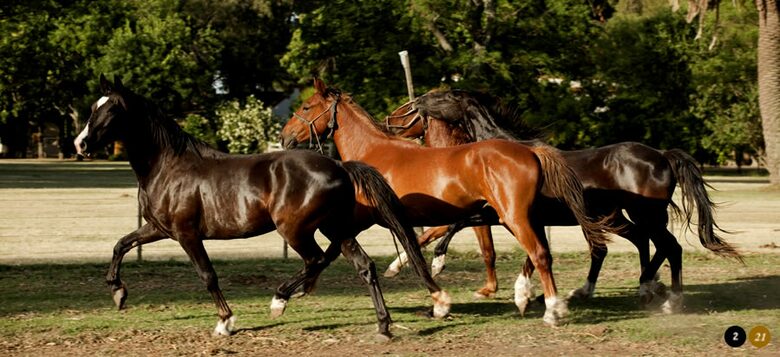 La Fortuna - Salto, Argentina