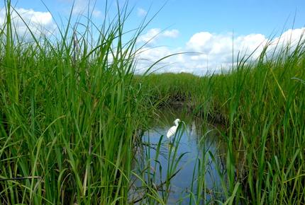 Beach Marsh View Creek Retreat - Georgetown, South Carolina