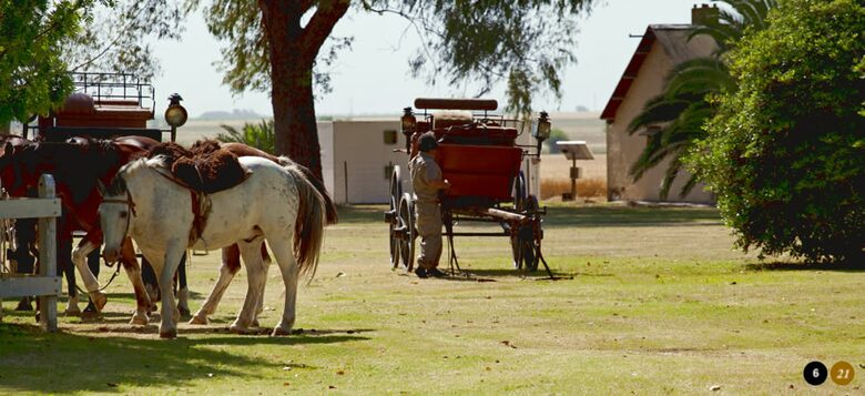 La Fortuna - Salto, Argentina