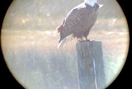 Beach Marsh View Creek Retreat - Georgetown, South Carolina