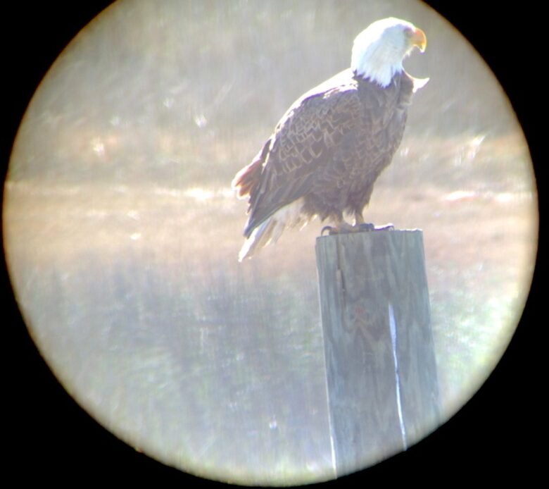 Beach Marsh View Creek Retreat - Georgetown, South Carolina