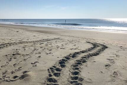 Beach Marsh View Creek Retreat - Georgetown, South Carolina