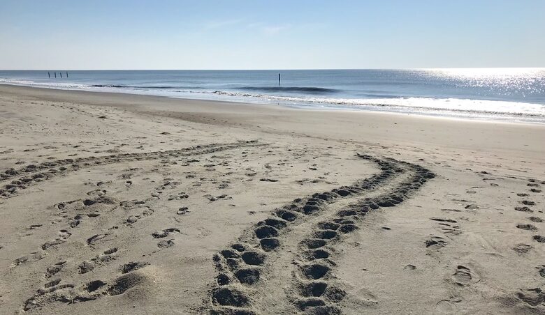 Beach Marsh View Creek Retreat - Georgetown, South Carolina