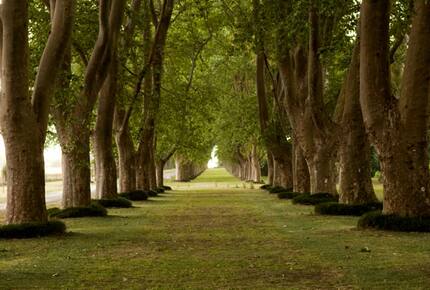 La Fortuna - Salto, Argentina
